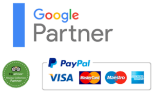 google ortağı ve paypal ile ödemeler